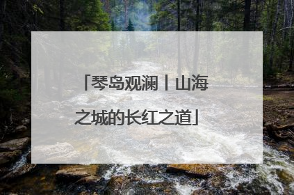琴岛观澜丨山海之城的长红之道