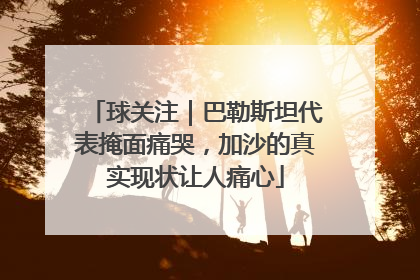 球关注｜巴勒斯坦代表掩面痛哭，加沙的真实现状让人痛心
