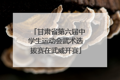 甘肃省第六届中学生运动会武术选拔赛在武威开赛
