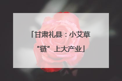 甘肃礼县：小艾草“链”上大产业