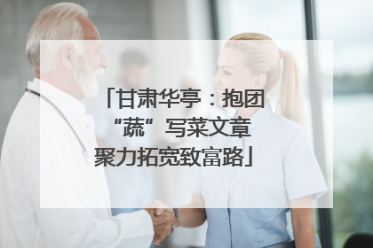 甘肃华亭：抱团“蔬”写菜文章 聚力拓宽致富路