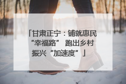 甘肃正宁：铺就惠民“幸福路” 跑出乡村振兴“加速度”
