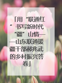用“联通红”书写新时代“疆”山情——山东联通援疆干部郝兆武的乡村振兴答卷