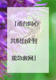 甬台同心共织台企智能急救网