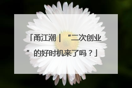甬江潮｜“二次创业”的好时机来了吗？