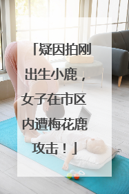 疑因拍刚出生小鹿，女子在市区内遭梅花鹿攻击！