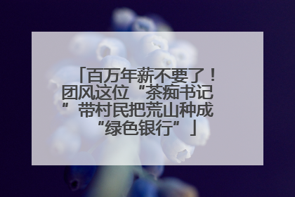 百万年薪不要了！团风这位“茶痴书记”带村民把荒山种成“绿色银行”