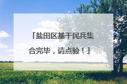 盐田区基干民兵集合完毕，请点验！