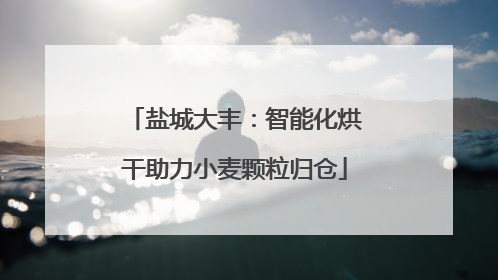 盐城大丰：智能化烘干助力小麦颗粒归仓