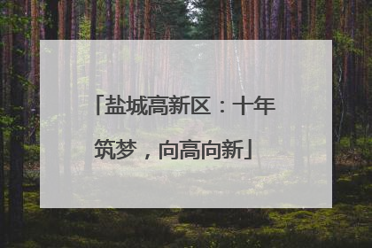 盐城高新区：十年筑梦，向高向新