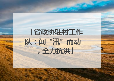 省政协驻村工作队：闻“汛”而动，全力抗洪
