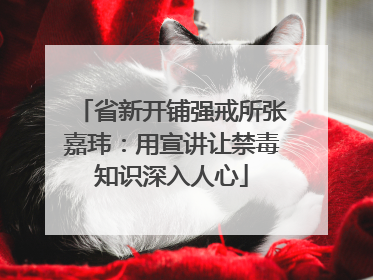 省新开铺强戒所张嘉玮：用宣讲让禁毒知识深入人心