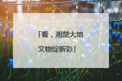看，湘楚大地文物绽新彩