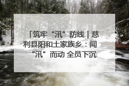 筑牢“汛”防线｜慈利县阳和土家族乡：闻“汛”而动 全员下沉筑牢防汛“安全堤”