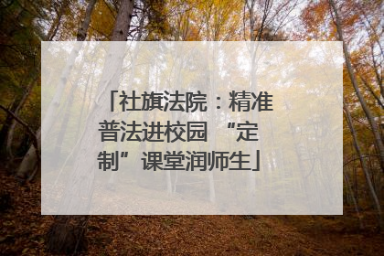社旗法院：精准普法进校园 “定制”课堂润师生
