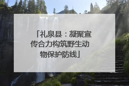 礼泉县：凝聚宣传合力构筑野生动物保护防线