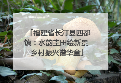 福建省长汀县四都镇：水韵圭田绘新景 乡村振兴谱华章