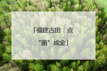 福建古田：点“菌”成金