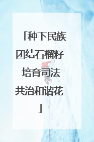 种下民族团结石榴籽 培育司法共治和谐花