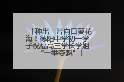 种出一片向日葵花海！德阳中学初一学子祝福高三学长学姐“一举夺魁”