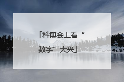 科博会上看“数字”大兴