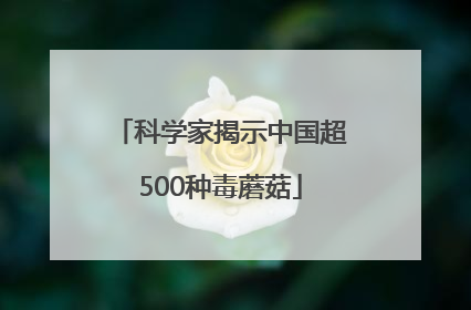 科学家揭示中国超500种毒蘑菇