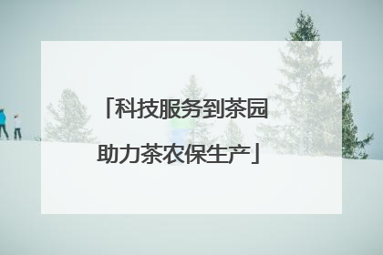 科技服务到茶园 助力茶农保生产