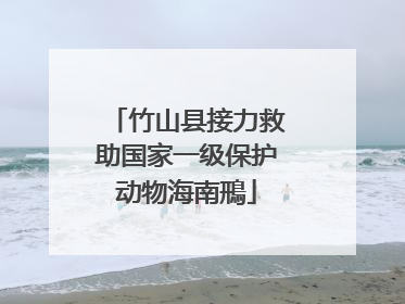 竹山县接力救助国家一级保护动物海南鳽