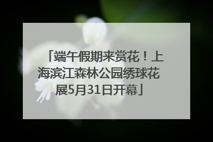 端午假期来赏花！上海滨江森林公园绣球花展5月31日开幕
