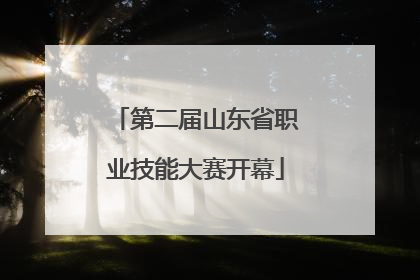 第二届山东省职业技能大赛开幕