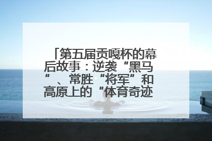第五届贡嘎杯的幕后故事：逆袭“黑马”、常胜“将军”和高原上的“体育奇迹”丨微纪录