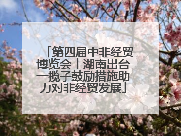 第四届中非经贸博览会丨湖南出台一揽子鼓励措施助力对非经贸发展