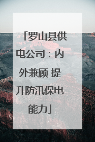 罗山县供电公司：内外兼顾 提升防汛保电能力