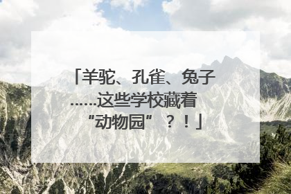 羊驼、孔雀、兔子……这些学校藏着 “动物园”？！