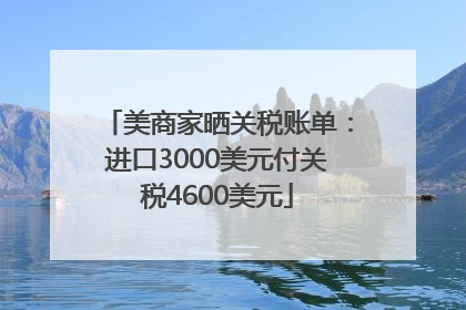 美商家晒关税账单：进口3000美元付关税4600美元
