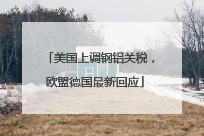 美国上调钢铝关税，欧盟德国最新回应