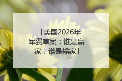 美国2026年军费草案：谁是赢家，谁是输家