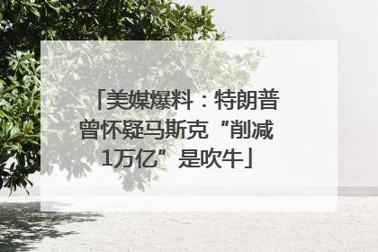 美媒爆料：特朗普曾怀疑马斯克“削减1万亿”是吹牛