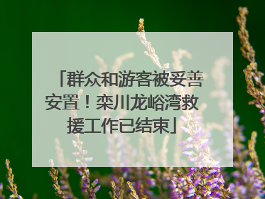 群众和游客被妥善安置！栾川龙峪湾救援工作已结束