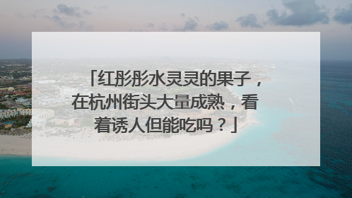 红彤彤水灵灵的果子，在杭州街头大量成熟，看着诱人但能吃吗？
