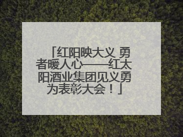 红阳映大义 勇者暖人心——红太阳酒业集团见义勇为表彰大会！