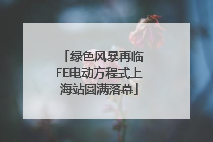 绿色风暴再临 FE电动方程式上海站圆满落幕