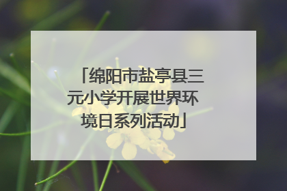 绵阳市盐亭县三元小学开展世界环境日系列活动