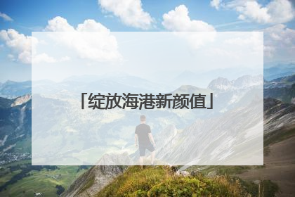 绽放海港新颜值