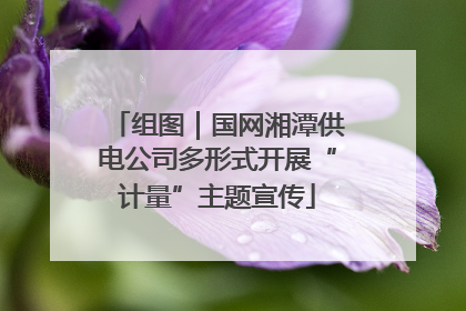 组图｜国网湘潭供电公司多形式开展“计量”主题宣传