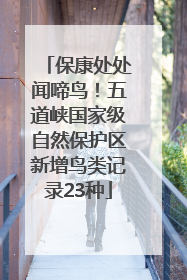 保康处处闻啼鸟！五道峡国家级自然保护区新增鸟类记录23种