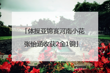 体操亚锦赛河南小花张怡涵收获2金1铜