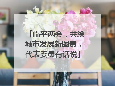 临平两会：共绘城市发展新图景，代表委员有话说