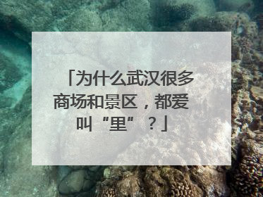 为什么武汉很多商场和景区，都爱叫“里”？