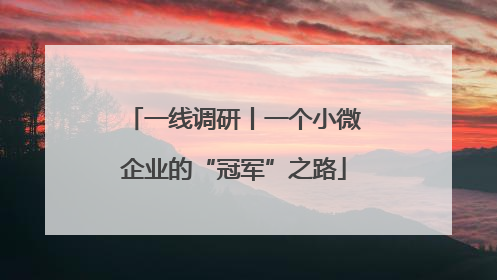 一线调研丨一个小微企业的“冠军”之路